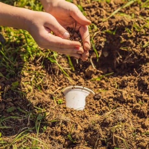 Degradable cup in soil