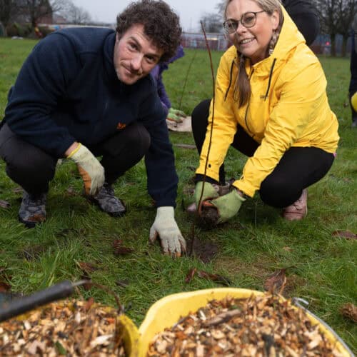 N Brown team planting a tree