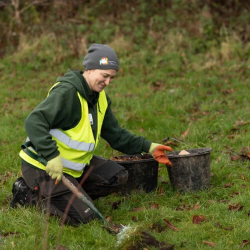 Trianna showing the team how to plant a tree