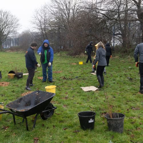 Duo Team planting trees