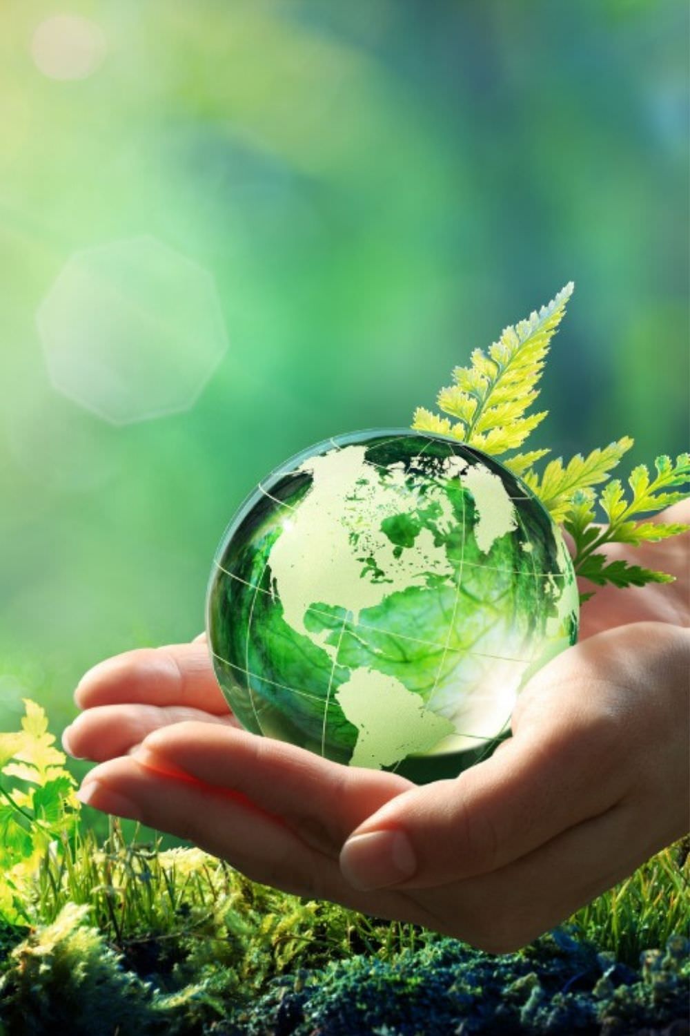 Person holding a green earth